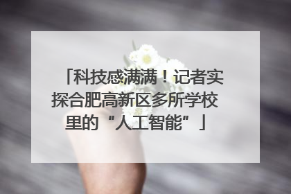 科技感满满！记者实探合肥高新区多所学校里的“人工智能”